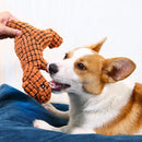 Dino Friend - Chewable Dinosaur | For Dogs