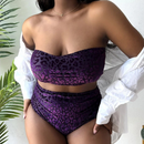 Geovana Plus Size Bikini