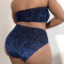 Geovana Plus Size Bikini