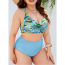 Gisele Plus Size Bikini