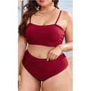 Fabiola Plus Size Bikini Set