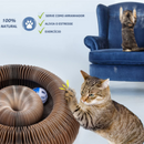 Interactive Cat Toy | Cat Joy + 1 Free Ball