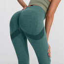 Seamless Sports Leggings