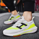Pegasus sneakers