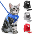 Cat Harness