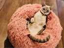 Comfortable Bed for Dogs and Cats