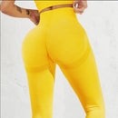 Seamless Sports Leggings