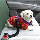 Pet Safety Belt (6 Colors Available)