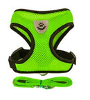 Cat Harness