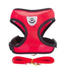 Cat Harness