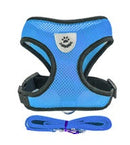 Cat Harness
