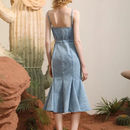 Ana Clara Denim Midi Dress