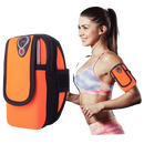 Universal Sports Armband