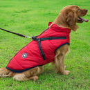 Jones™ Pet Windbreaker Collection | Dog Clothing