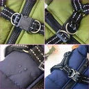Jones™ Pet Windbreaker Collection | Dog Clothing