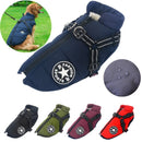 Jones™ Pet Windbreaker Collection | Dog Clothing