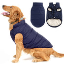 Steve™ Pet Collectible | Dog Clothing