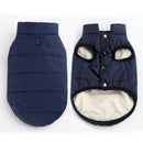 Steve™ Pet Collectible | Dog Clothing