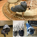 Winter Dog Vest | Gentleman