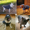 Winter Dog Vest | Gentleman